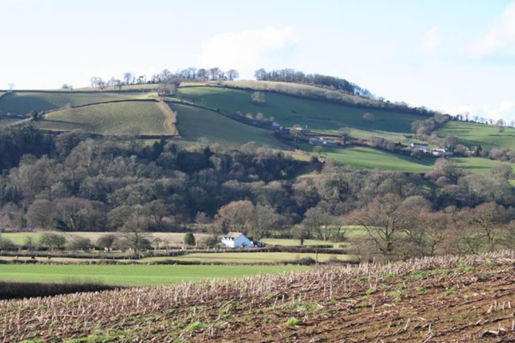 Rural Devon Retreat In Stunning Exe Valley. Exeter Esterno foto